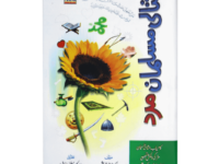 Misali Musalman Mard