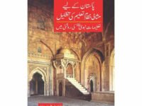 Pakistan Kayliy Misali Nizam Talem Ki Tashkel