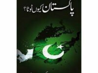 Pakistan Kion Toota ?