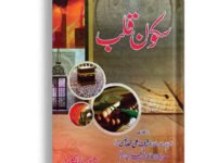 Sakoon e Qalab
