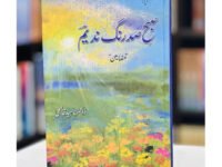 Phirta Hay Falak Barson - 2