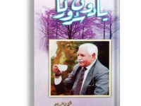 Yaroon ka saroor